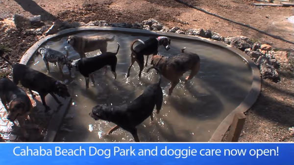 Cahaba Beach Dog Park photo 1